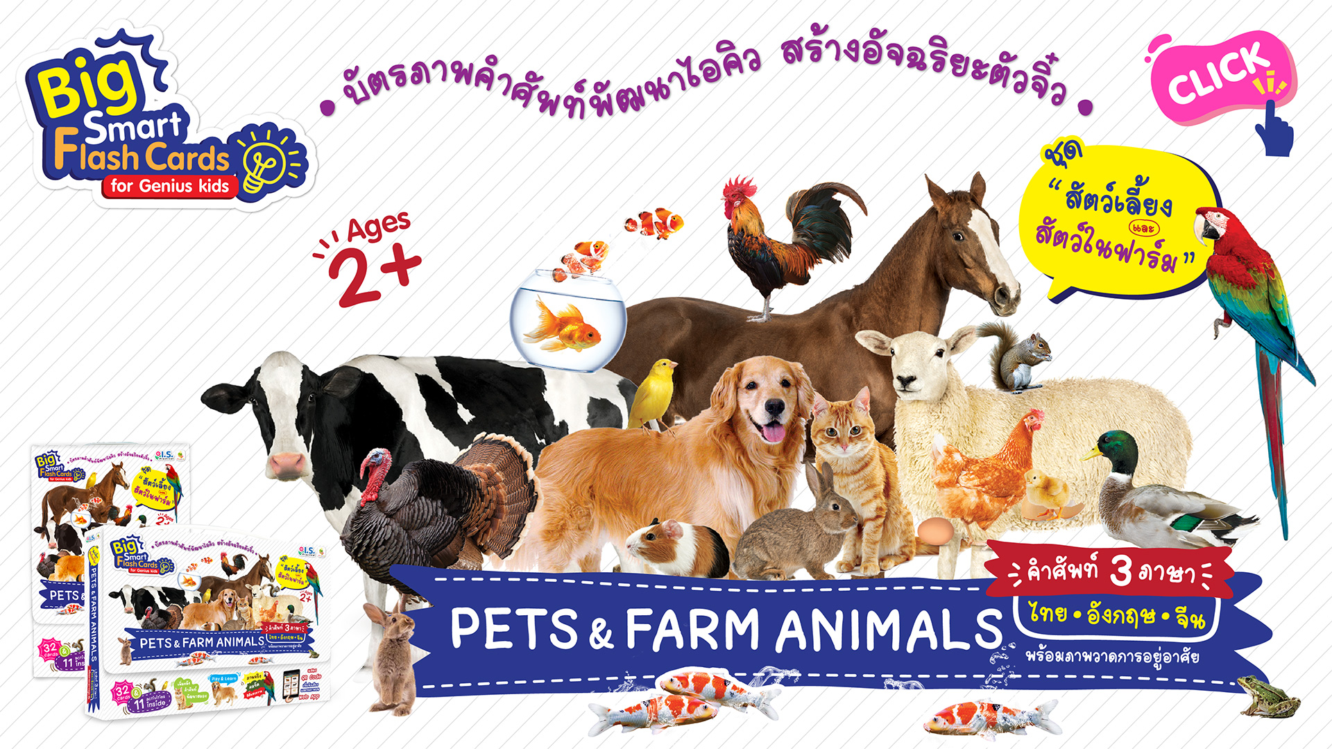 Flash Cards Pets&Farm Animals